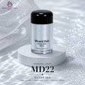 Glitter - MD22 Mineral Dust Silver Sea